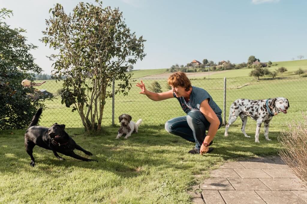 0013 Landleben In Sumiswald